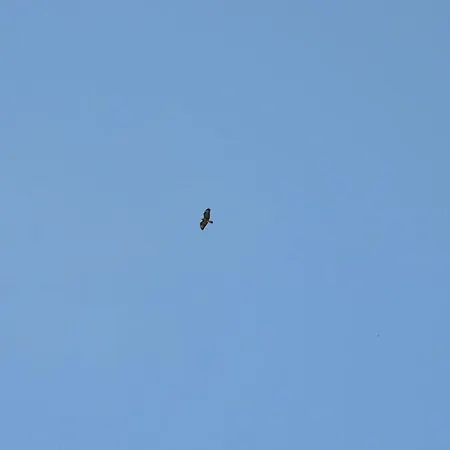 In Feldberger Seenlandschaft アパート Conow