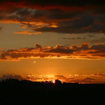 In Feldberger Seenlandschaft アパート