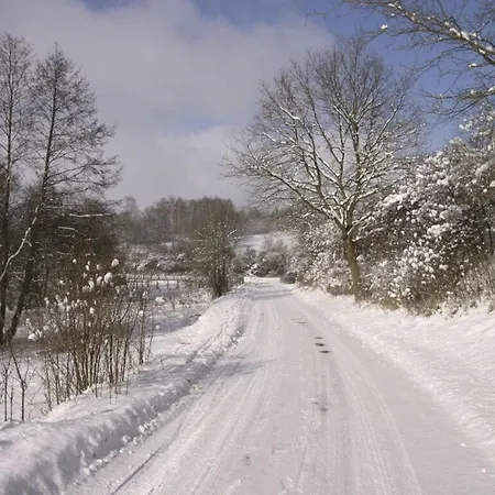 In Feldberger Seenlandschaft アパート Conow