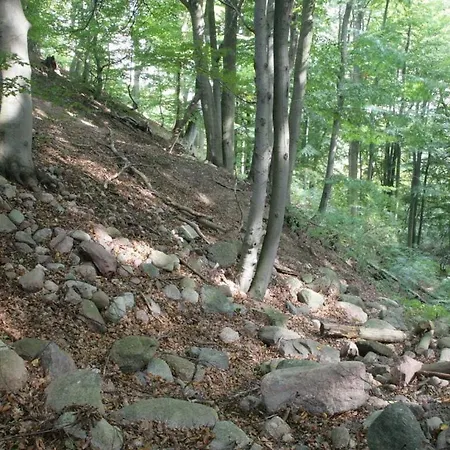 In Feldberger Seenlandschaft アパート Conow